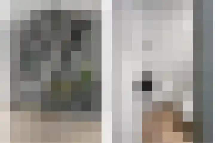 Inlaagdijk 57 Haarsteeg thumbnail 36