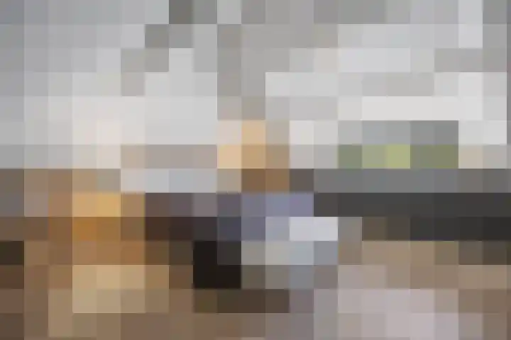 Inlaagdijk 57 Haarsteeg thumbnail 37