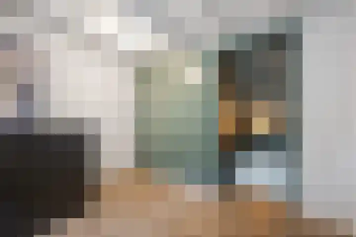 Inlaagdijk 57 Haarsteeg thumbnail 40