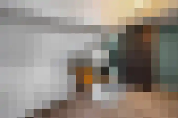 Inlaagdijk 57 Haarsteeg thumbnail 43