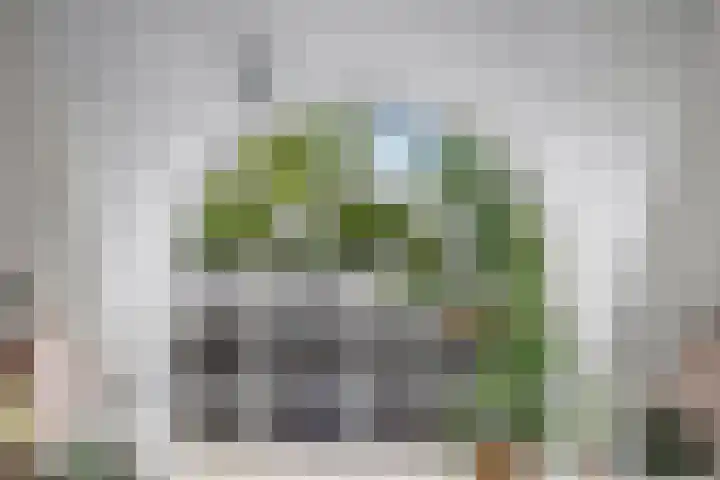Inlaagdijk 57 Haarsteeg thumbnail 47