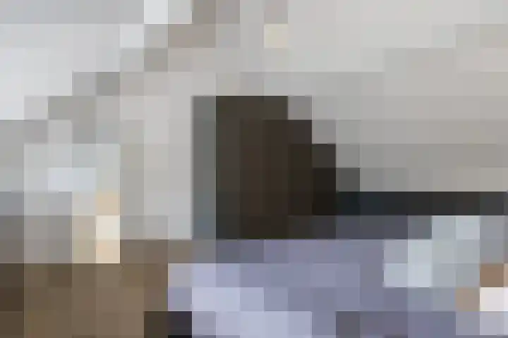 Inlaagdijk 57 Haarsteeg thumbnail 49