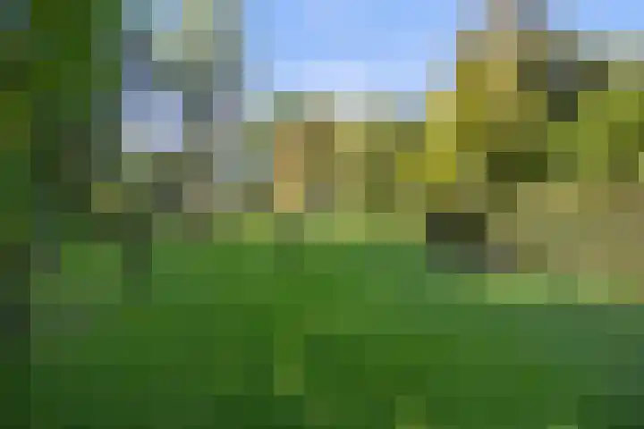 Inlaagdijk 57 Haarsteeg thumbnail 5