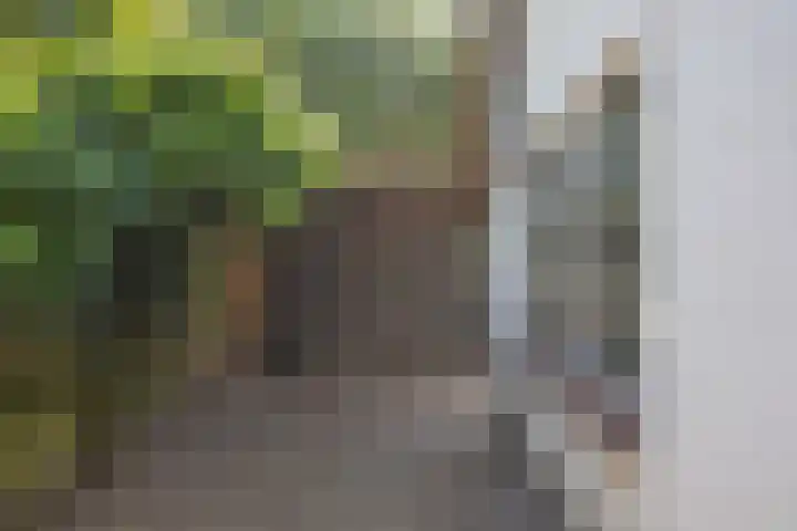 Inlaagdijk 57 Haarsteeg thumbnail 50