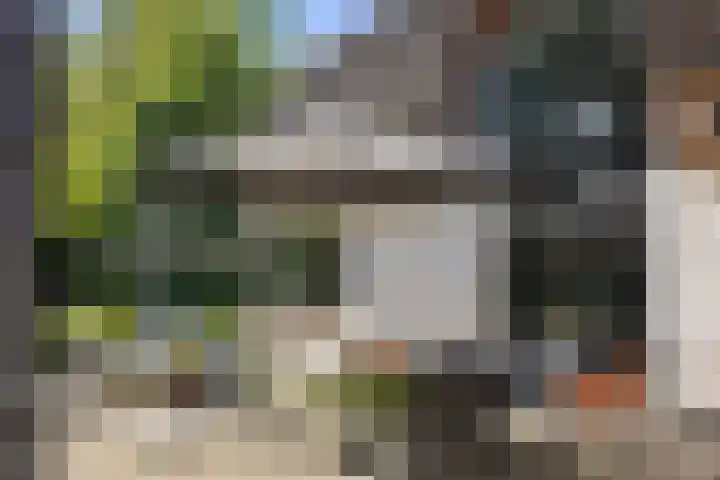 Inlaagdijk 57 Haarsteeg thumbnail 52