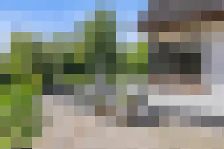 Inlaagdijk 57 Haarsteeg thumbnail 53