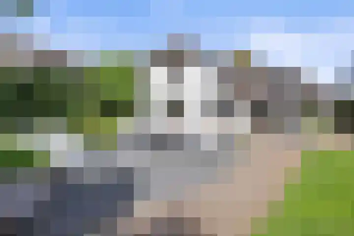 Inlaagdijk 57 Haarsteeg thumbnail 54