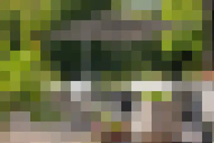 Inlaagdijk 57 Haarsteeg thumbnail 55