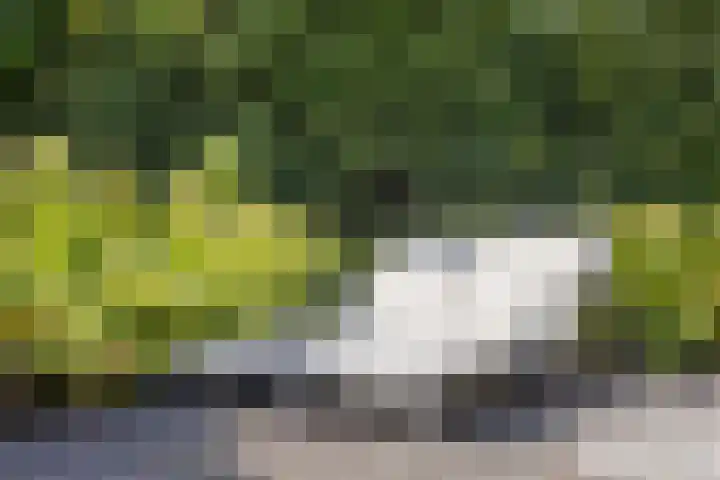 Inlaagdijk 57 Haarsteeg thumbnail 56
