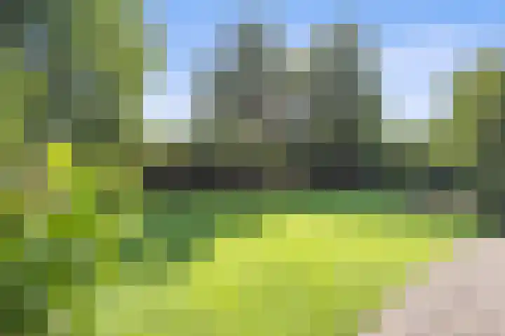 Inlaagdijk 57 Haarsteeg thumbnail 57