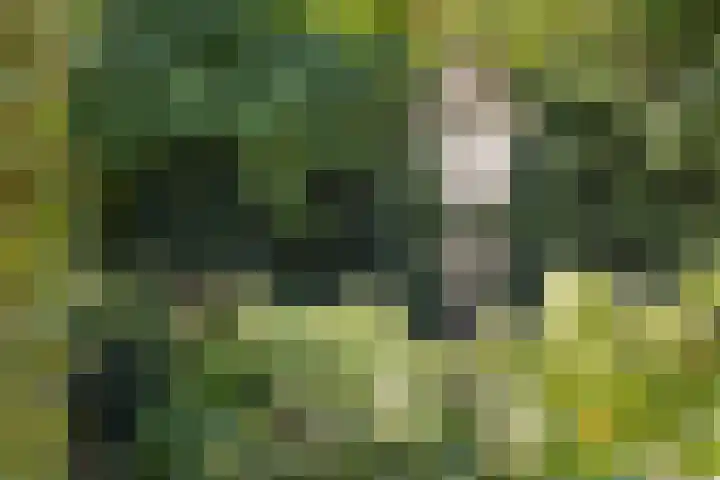 Inlaagdijk 57 Haarsteeg thumbnail 58