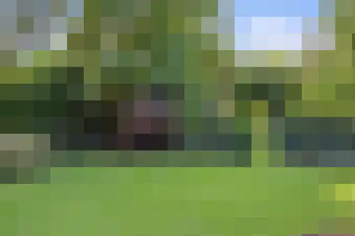 Inlaagdijk 57 Haarsteeg thumbnail 59