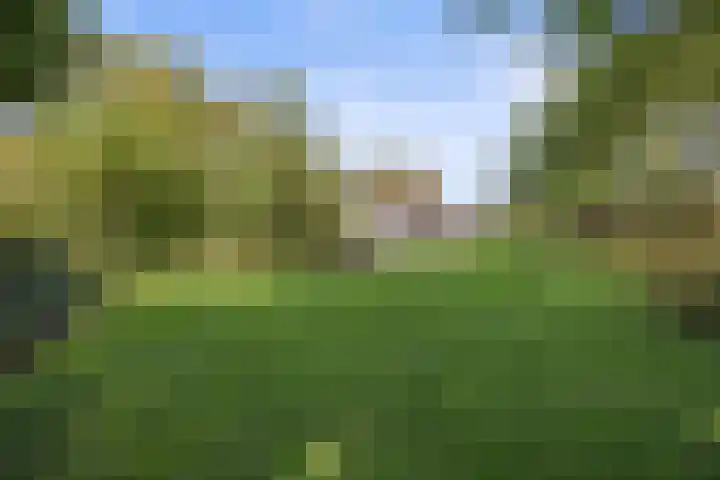 Inlaagdijk 57 Haarsteeg thumbnail 60