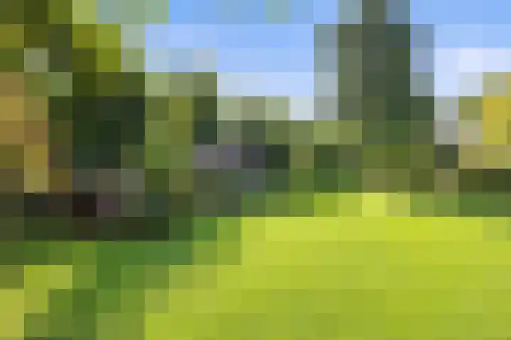 Inlaagdijk 57 Haarsteeg thumbnail 61