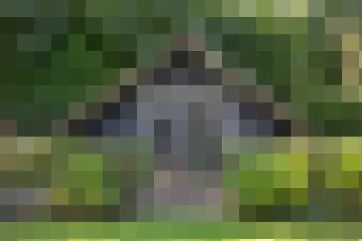 Inlaagdijk 57 Haarsteeg thumbnail 62