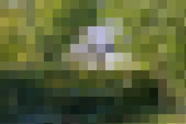 Inlaagdijk 57 Haarsteeg thumbnail 63