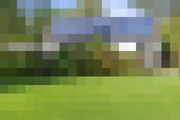 Inlaagdijk 57 Haarsteeg thumbnail 64