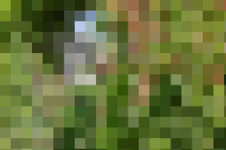 Inlaagdijk 57 Haarsteeg thumbnail 66