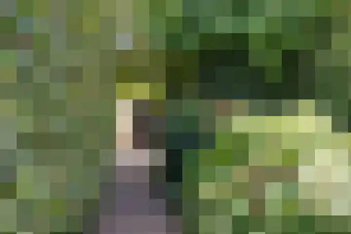 Inlaagdijk 57 Haarsteeg thumbnail 67