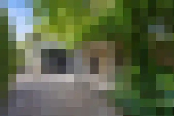 Inlaagdijk 57 Haarsteeg thumbnail 68