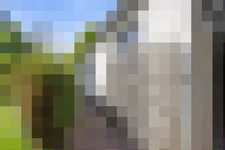 Inlaagdijk 57 Haarsteeg thumbnail 69