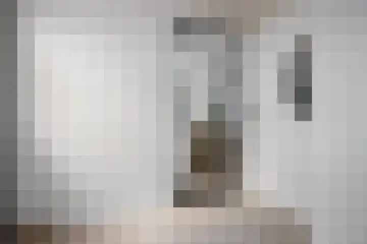 Inlaagdijk 57 Haarsteeg thumbnail 7