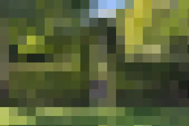 Inlaagdijk 57 Haarsteeg thumbnail 70