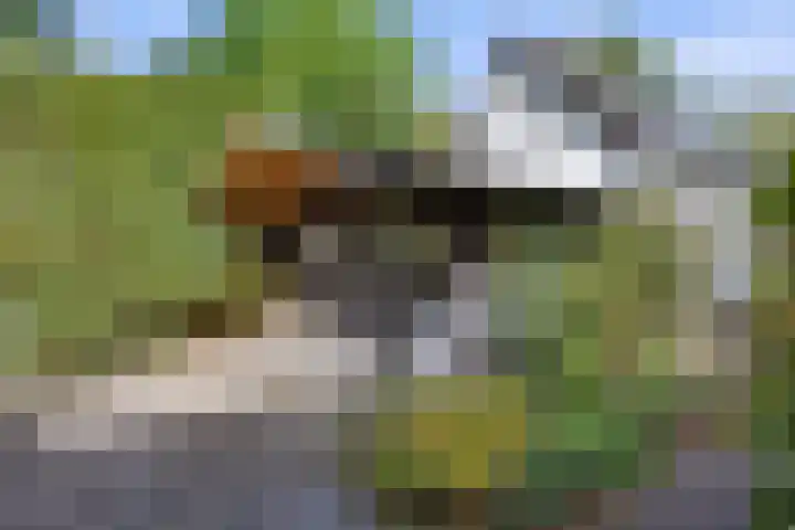 Inlaagdijk 57 Haarsteeg thumbnail 71