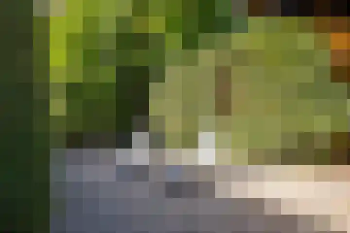 Inlaagdijk 57 Haarsteeg thumbnail 72