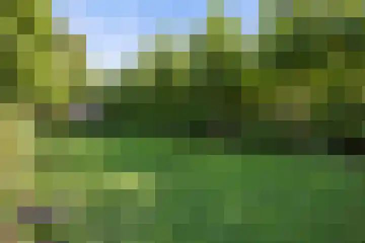 Inlaagdijk 57 Haarsteeg thumbnail 73