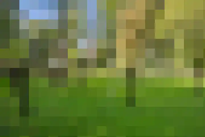 Inlaagdijk 57 Haarsteeg thumbnail 74