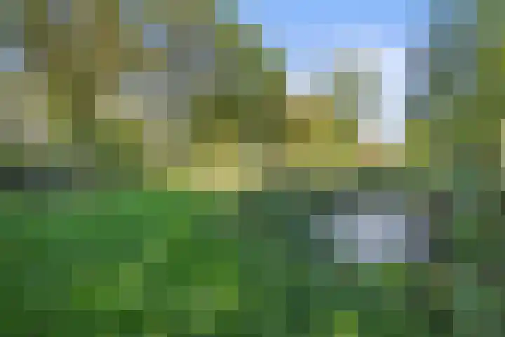 Inlaagdijk 57 Haarsteeg thumbnail 75