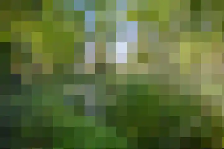 Inlaagdijk 57 Haarsteeg thumbnail 76