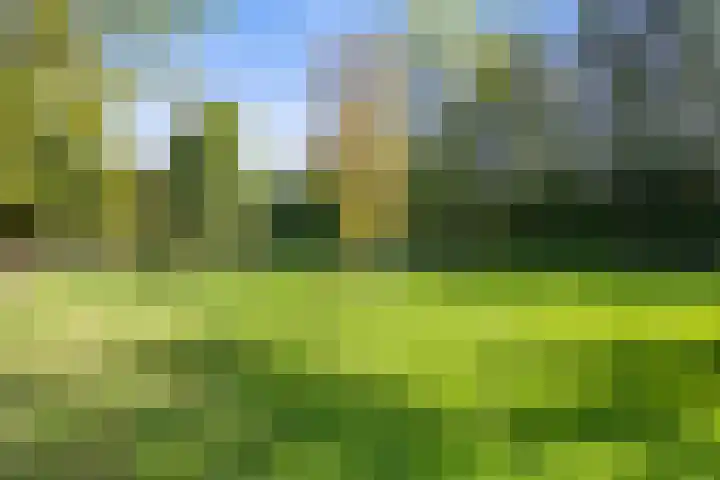 Inlaagdijk 57 Haarsteeg thumbnail 77