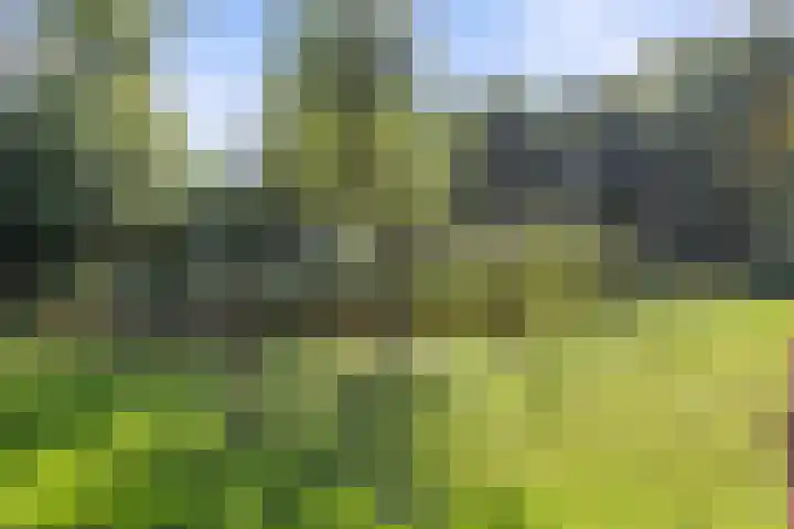 Inlaagdijk 57 Haarsteeg thumbnail 78