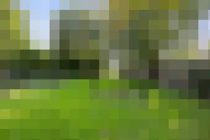 Inlaagdijk 57 Haarsteeg thumbnail 79