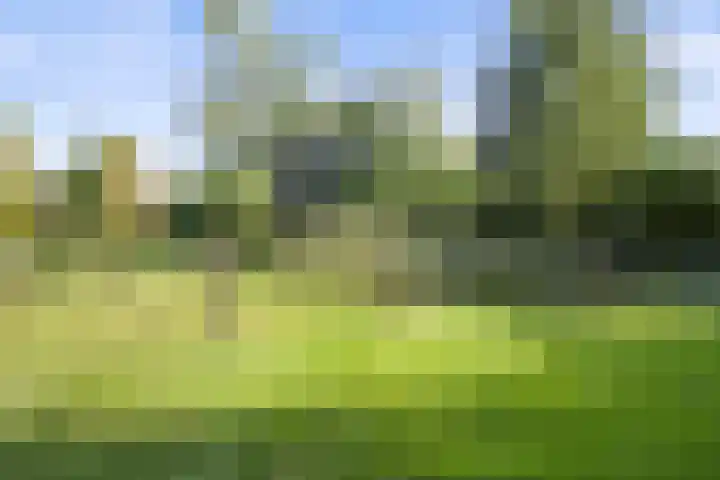 Inlaagdijk 57 Haarsteeg thumbnail 80