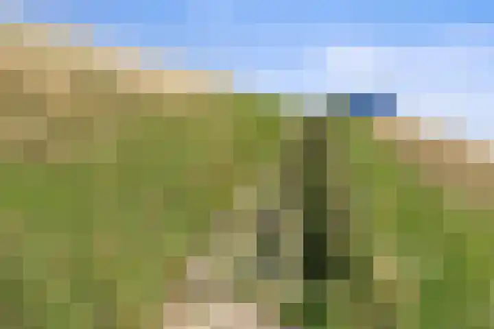 Inlaagdijk 57 Haarsteeg thumbnail 84