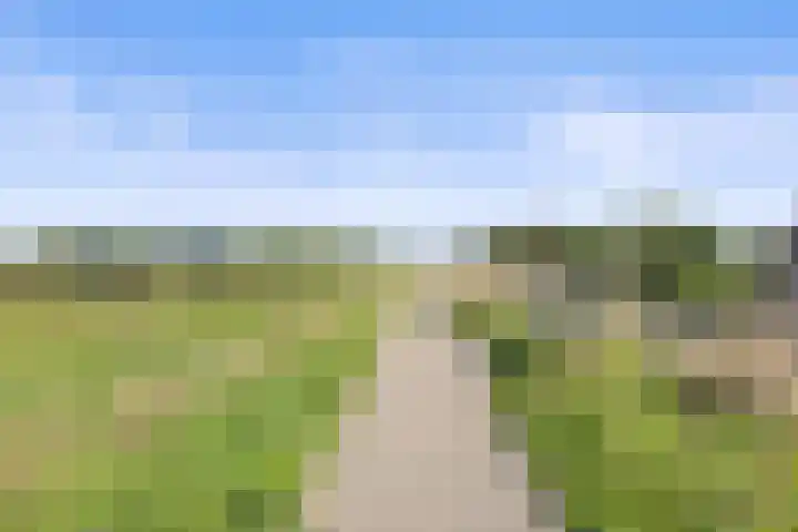 Inlaagdijk 57 Haarsteeg thumbnail 85