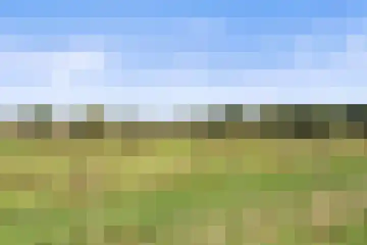 Inlaagdijk 57 Haarsteeg thumbnail 86