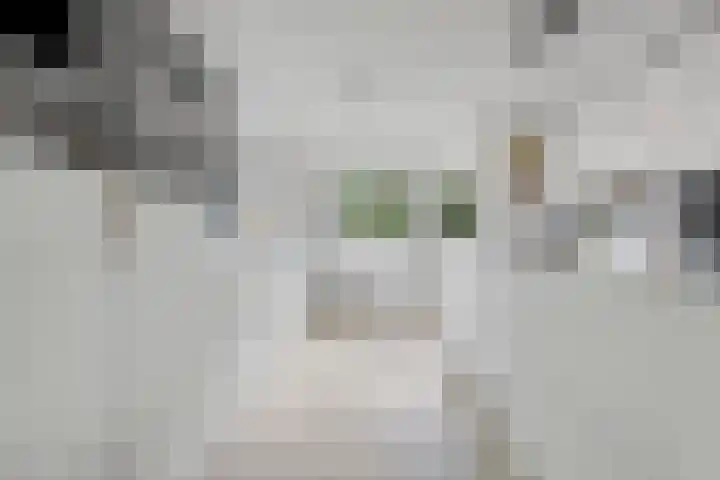 Inlaagdijk 57 Haarsteeg thumbnail 9