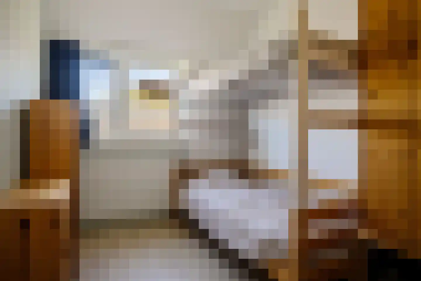 Inlaagdijk 87 Zwaag thumbnail 12