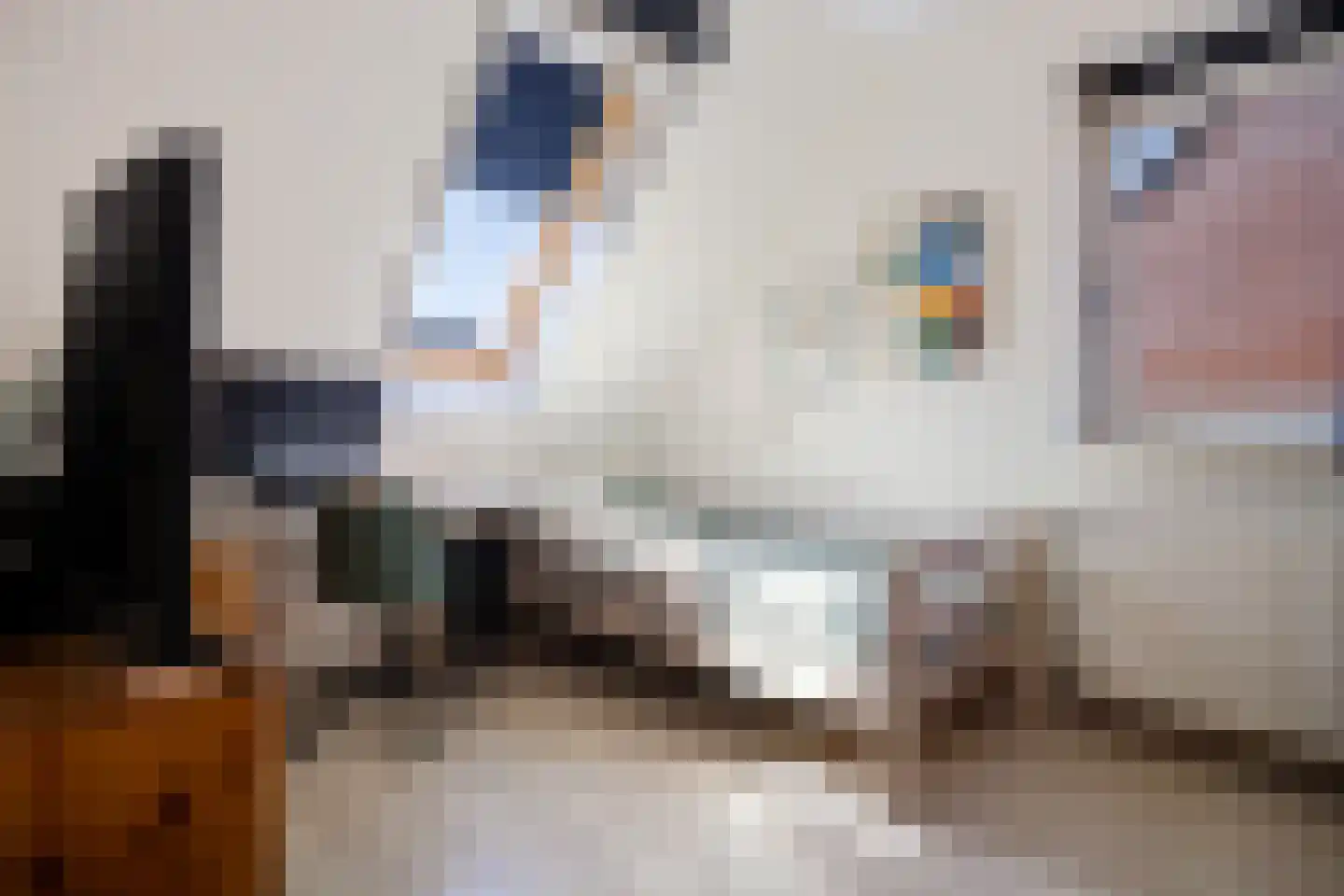 Inlaagdijk 87 Zwaag thumbnail 13