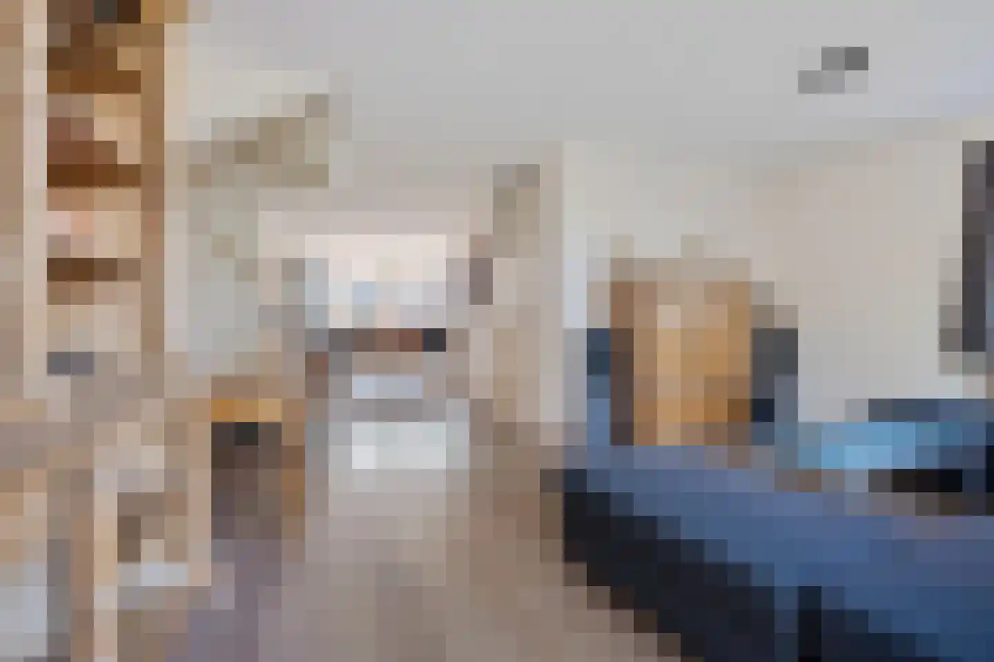 Inlaagdijk 87 Zwaag thumbnail 4