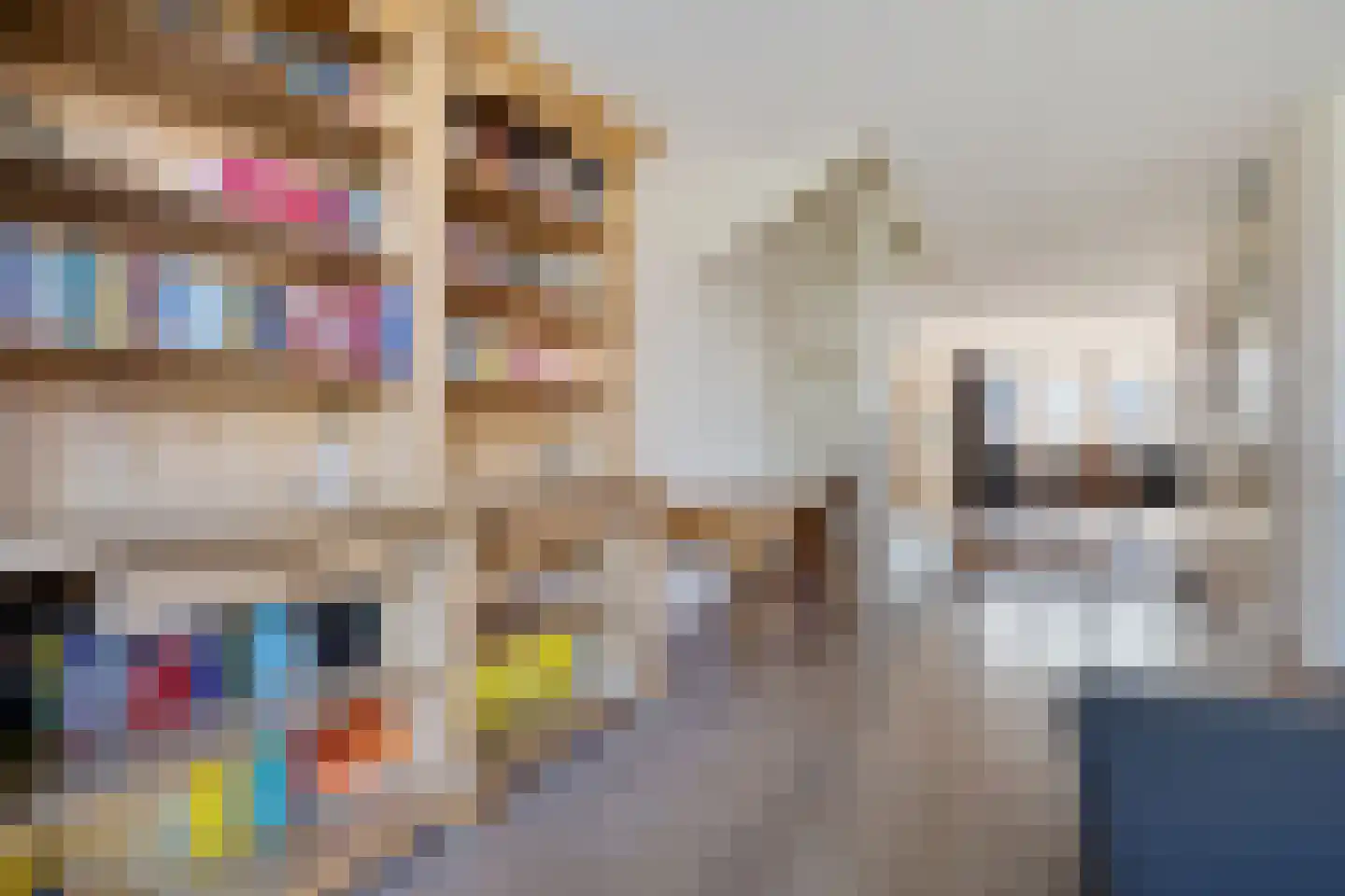 Inlaagdijk 87 Zwaag thumbnail 5