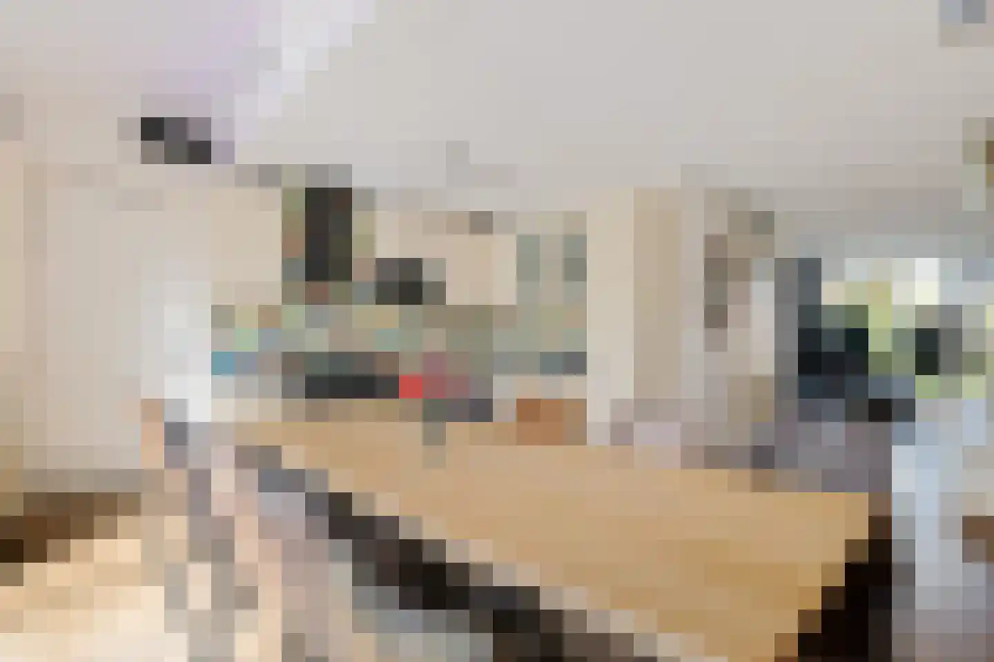 Inlaagdijk 87 Zwaag thumbnail 6