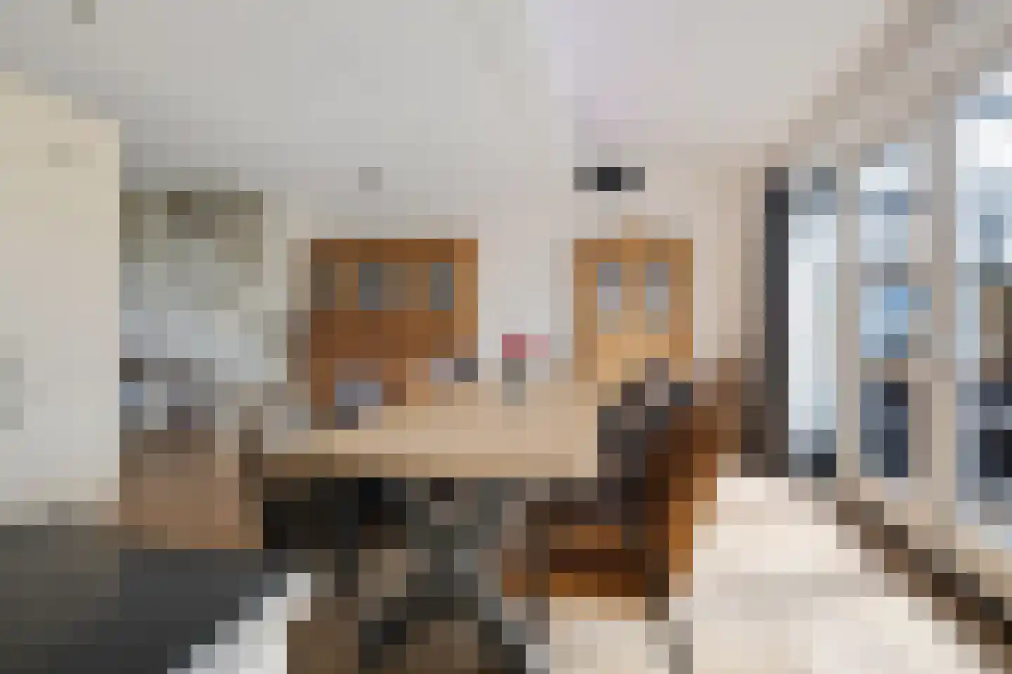 Inlaagdijk 87 Zwaag thumbnail 7