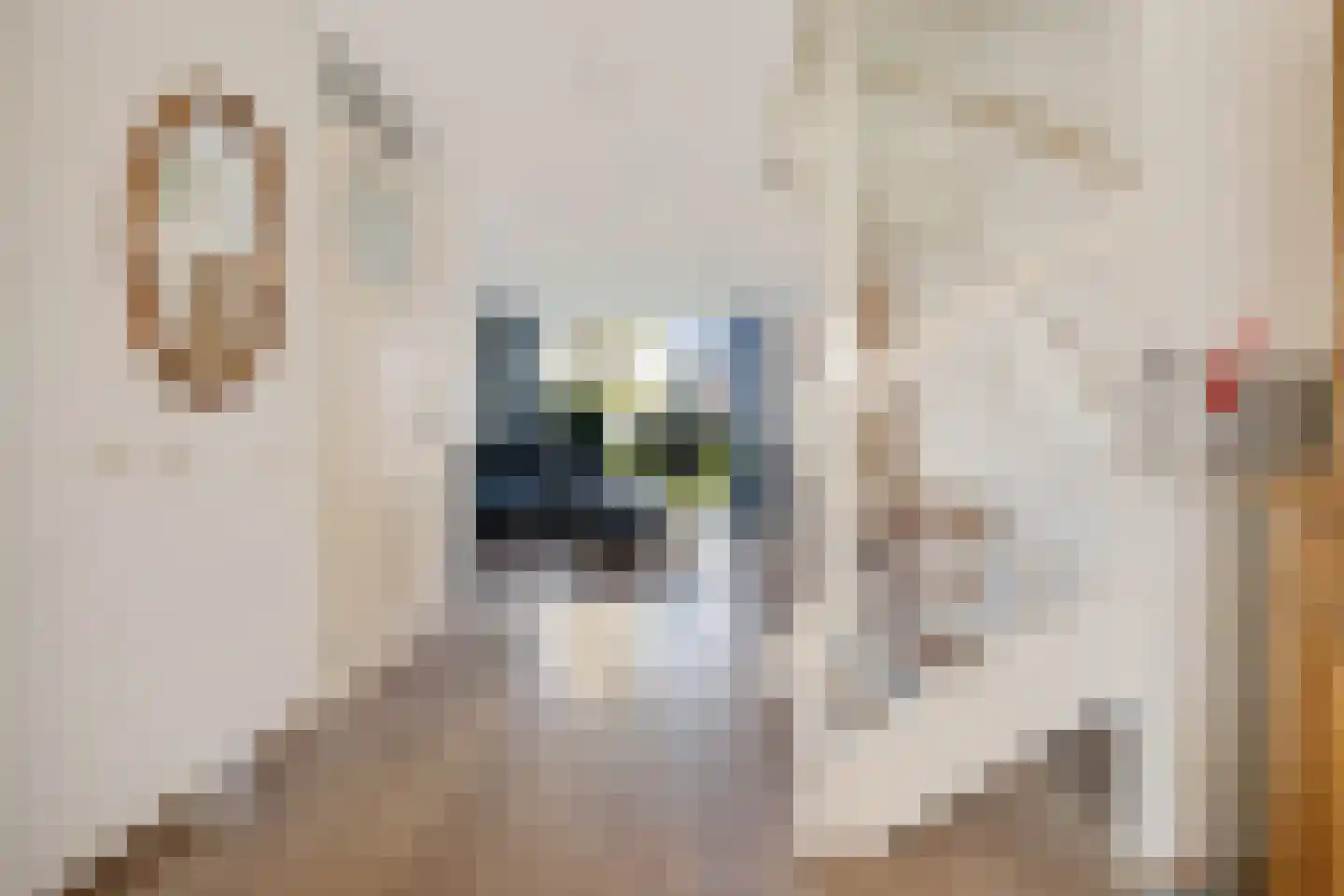 Inlaagdijk 87 Zwaag thumbnail 9