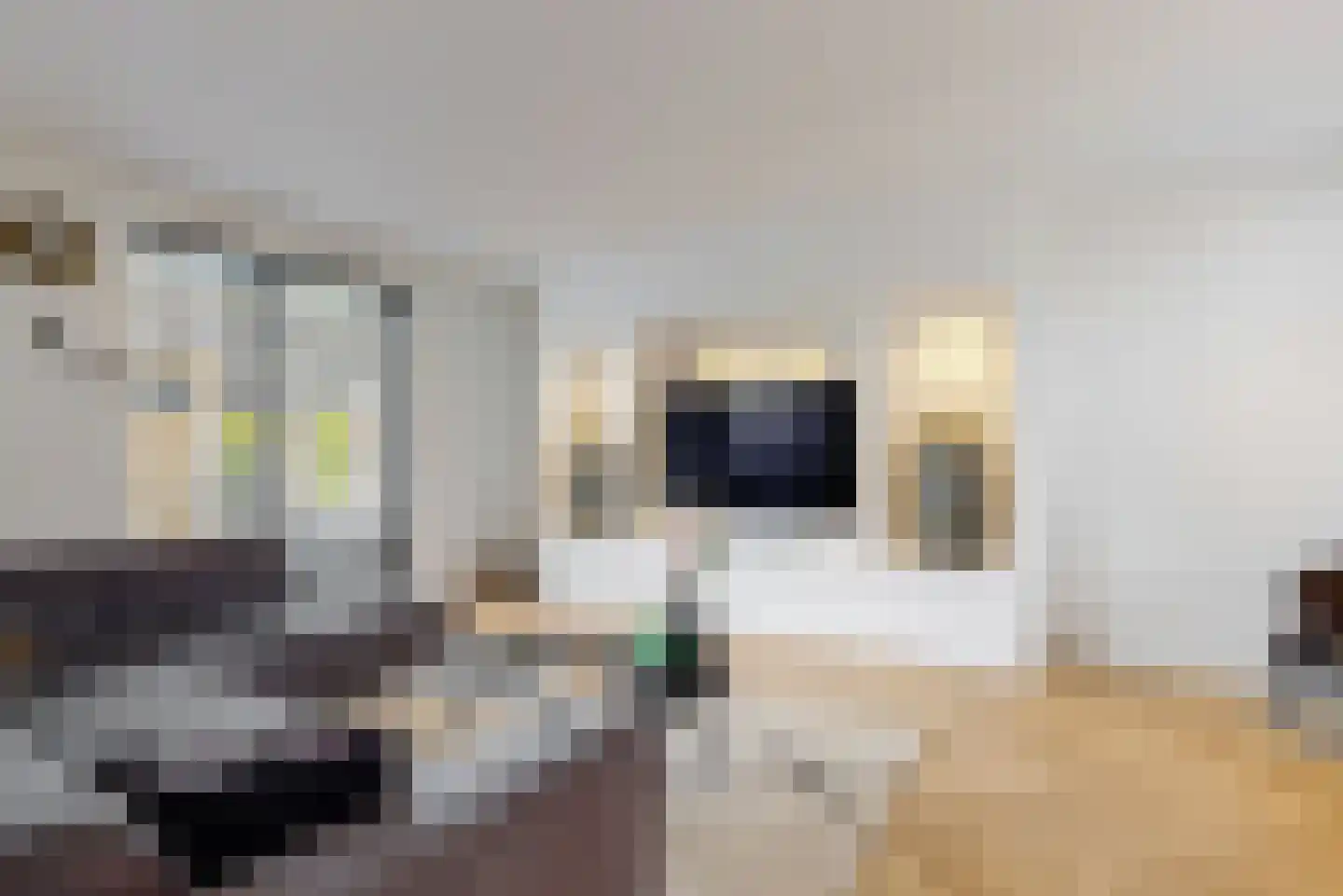 Inlaagdijk 99 Zwaag thumbnail 10