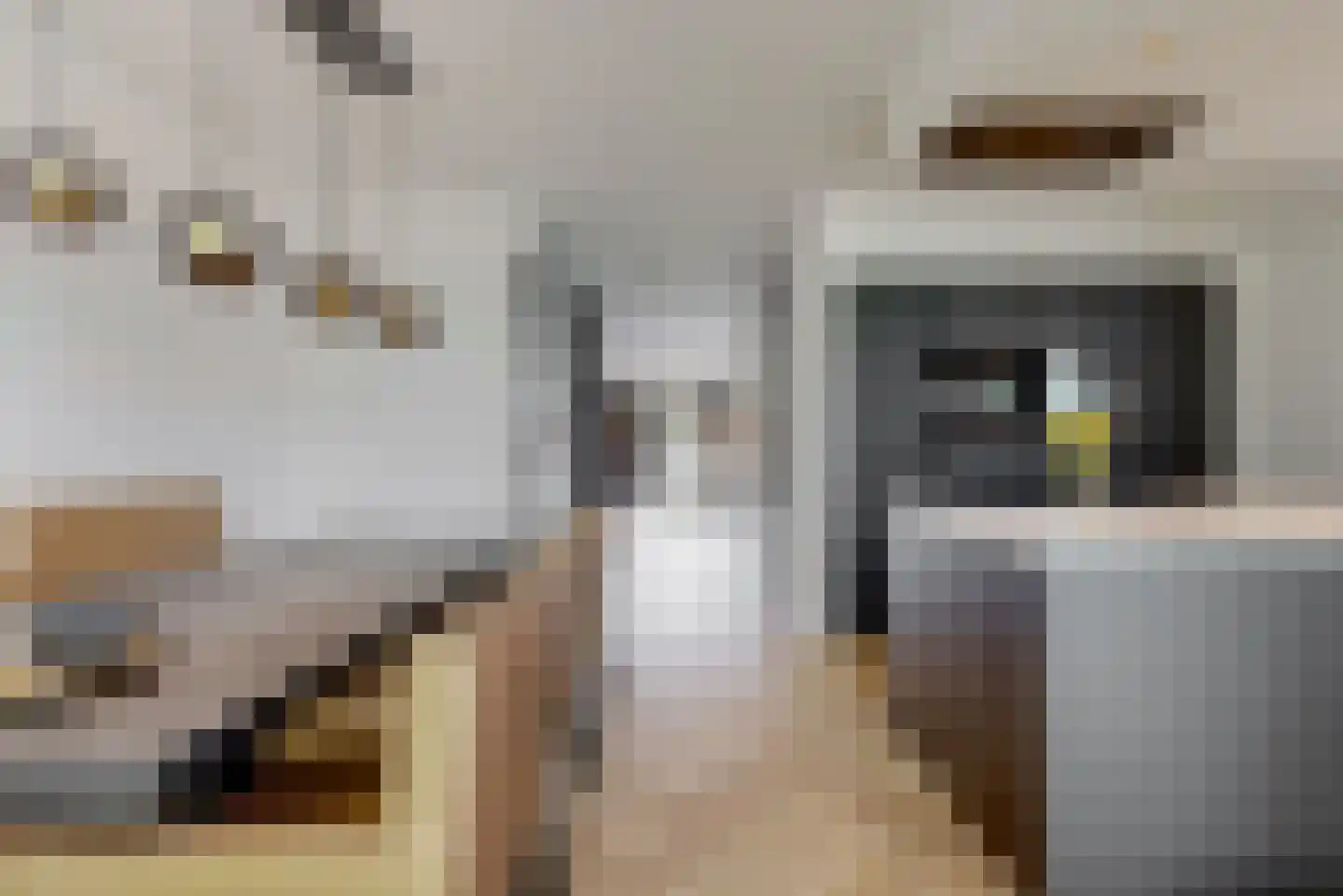 Inlaagdijk 99 Zwaag thumbnail 11